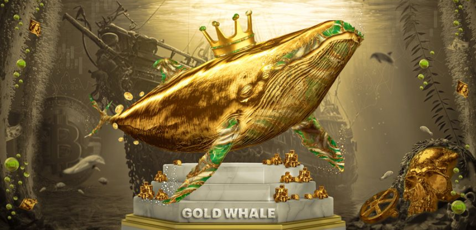 xChief Gold Whale Contest